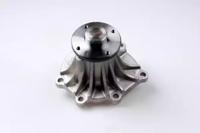 Hepu P7849 Water pump