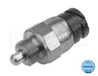 Meyle 12-34 029 0001 Sensor assy vacuum