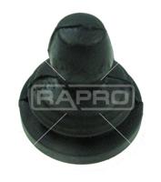 Rapro 51930 Опора двигуна, КПП Rapro 51930 Опора двигуна, КПП