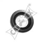 Cautex 952035 Pignon