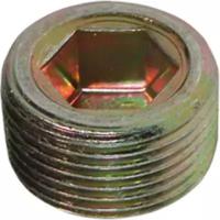 Birth 4181 Пробка резьбовая масляного поддона