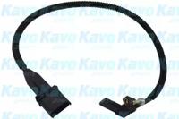 Kavo Parts ECR-1004 Sensor assy crankshaft position Kavo Parts ECR-1004 Sensor assy crankshaft position
