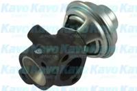 Kavo Parts EEG-3019 Клапан рециркуляції відпрацьованих газів Kavo Parts EEG-3019 Клапан рециркуляції відпрацьованих газів
