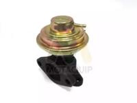 Motaquip LVER220 EGR valve