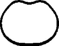 Corteco 450136H Прокладка впускного колектора Corteco 450136H Прокладка впускного колектора