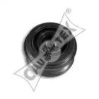 Cautex 460975 Шкив генератора