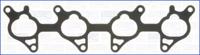 Wilmink Group WG1161467 Gasket graphite