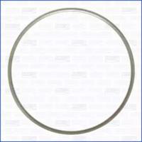 Wilmink Group WG1161506 Прокладка колектора