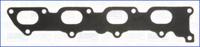 Wilmink Group WG1161667 Gasket graphite Wilmink Group WG1161667 Gasket graphite
