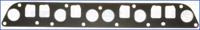 Wilmink Group WG1161760 Gasket manifold