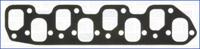 Wilmink Group WG1161761 Gasket manifold