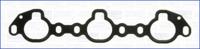 Wilmink Group WG1161817 Gasket graphite