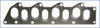 Wilmink Group WG1161879 Gasket manifold