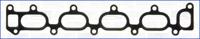 Wilmink Group WG1162199 Gasket graphite Wilmink Group WG1162199 Gasket graphite