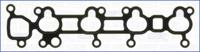 Wilmink Group WG1162384 Gasket graphite