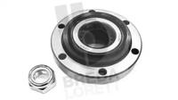 Breda Lorett KRT2197 Wheel bearing