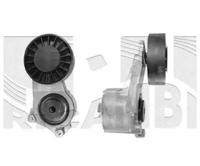 Autoteam A01072 Натягувач ременя поліклинового