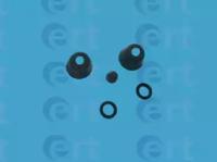 ERT 300573 Ремкомплект робочого гальмівного циліндра