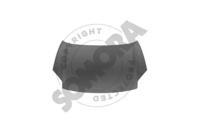 Somora 054208 Hood