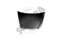 Somora 082308 Hood