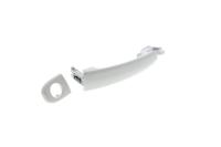 Vaico V10-6161 Ручка дверей