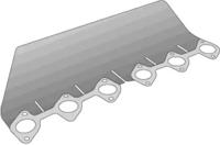 Wilmink Group WG1246799 Прокладка колектора