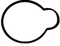 Wilmink Group WG1246981 Gasket graphite