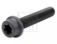 Templin 03.130.1905.140 Болт диск тормозного механизма