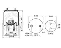 Templin 040106300050 Пневмоподушка