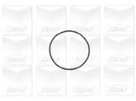 Graf PA694 Water pump Graf PA694 Water pump