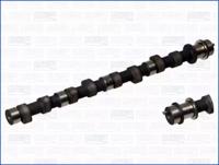 Wilmink Group WG1170728 Camshaft