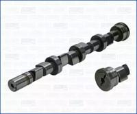 Wilmink Group WG1170733 Распредвал