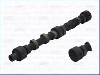 Wilmink Group WG1170905 Camshaft