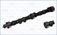 Wilmink Group WG1170963 Camshaft