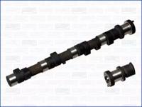 Wilmink Group WG1171267 Camshaft