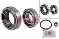 Fag 713 6304 80 Wheel bearing