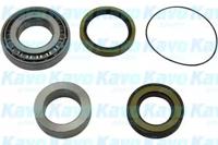 Kavo Parts WBK-1513 Wheel bearing