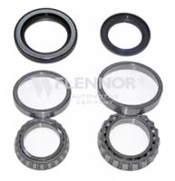Flennor FR391013 Wheel bearing Flennor FR391013 Wheel bearing