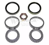 Flennor FR670493 Wheel bearing
