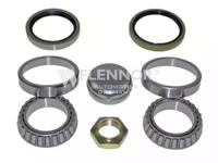 Flennor FR670495 Wheel bearing