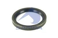 Sampa 010.254 Shaft seal differential