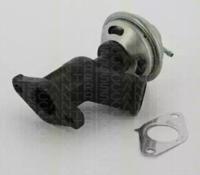 Triscan 881310011 EGR valve