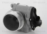 Triscan 881310012 EGR valve