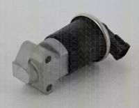 Triscan 881321100 EGR valve