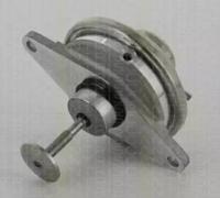 Triscan 881324054 EGR valve