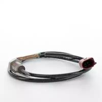 Wilmink Group WG1796262 Temperature sensor