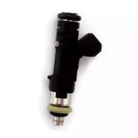 Wilmink Group WG1796430 Nozzle assy fuel injector Wilmink Group WG1796430 Nozzle assy fuel injector