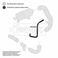 Borg & Beck BTH1519 Патрубок інтеркулера Borg & Beck BTH1519 Патрубок інтеркулера