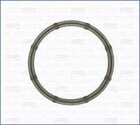 Wilmink Group WG1447789 Gasket graphite Wilmink Group WG1447789 Gasket graphite
