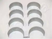 Ashika 82-1620G2 Crankshaft bearings Ashika 82-1620G2 Crankshaft bearings